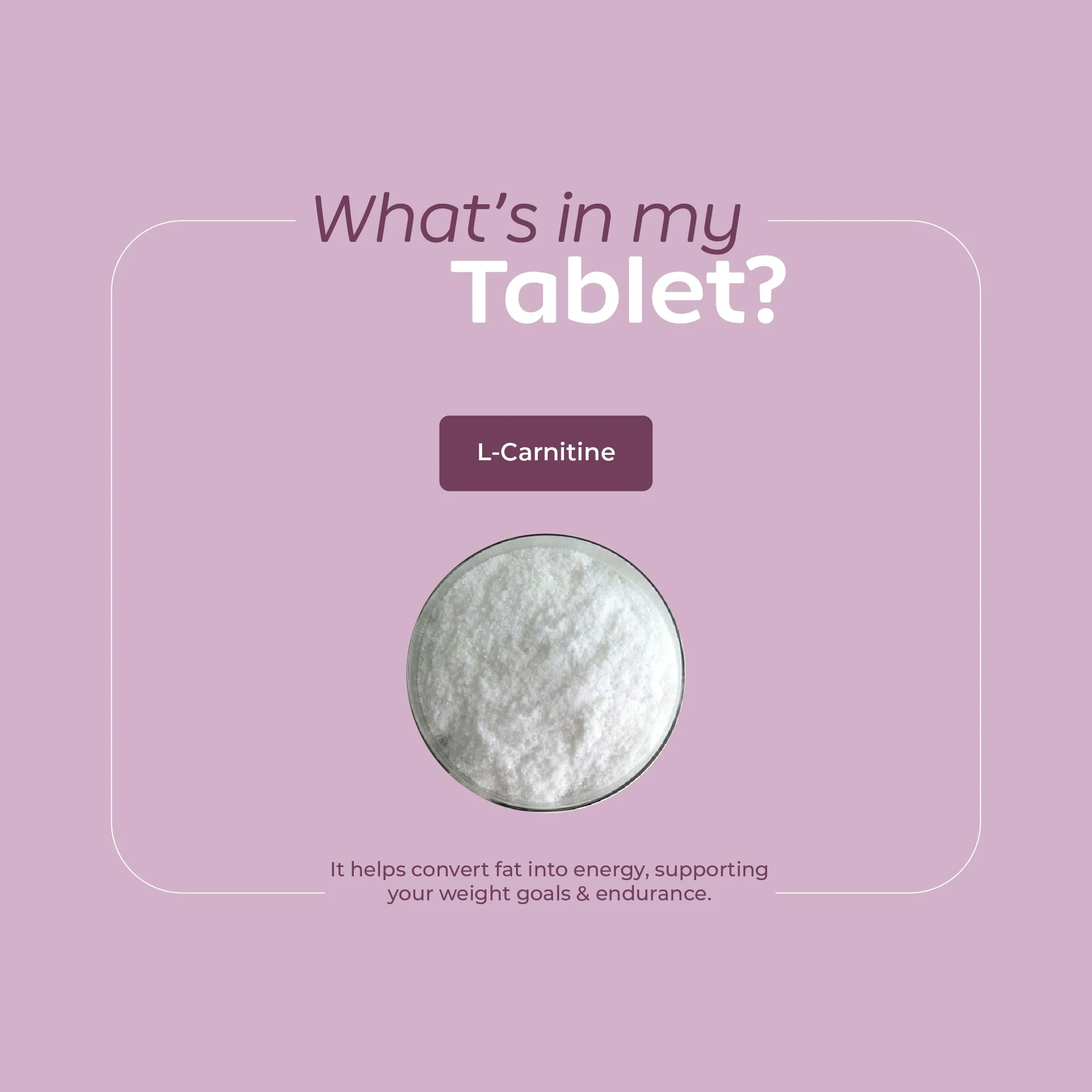 The Metabolic Reset Bundle - Image 3